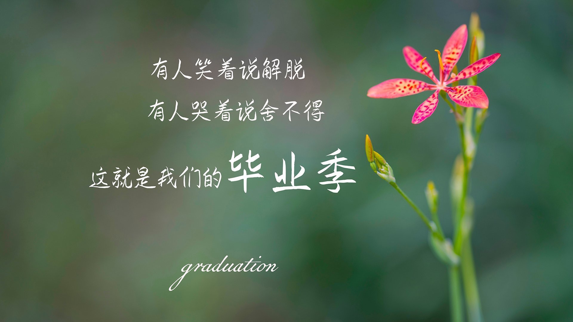 体育公益项目影响力扩大，公益体育活动有哪些