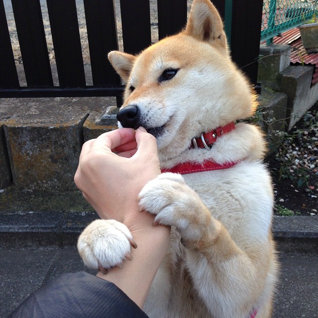 乐鱼体育App下载-“三叉湖滚球赛：全新赛事形式燃爆成都赛场”