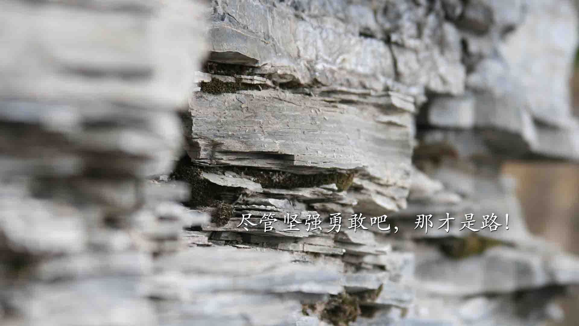 “沙滩合球：天府新区沙滩赛场带来新运动风潮”