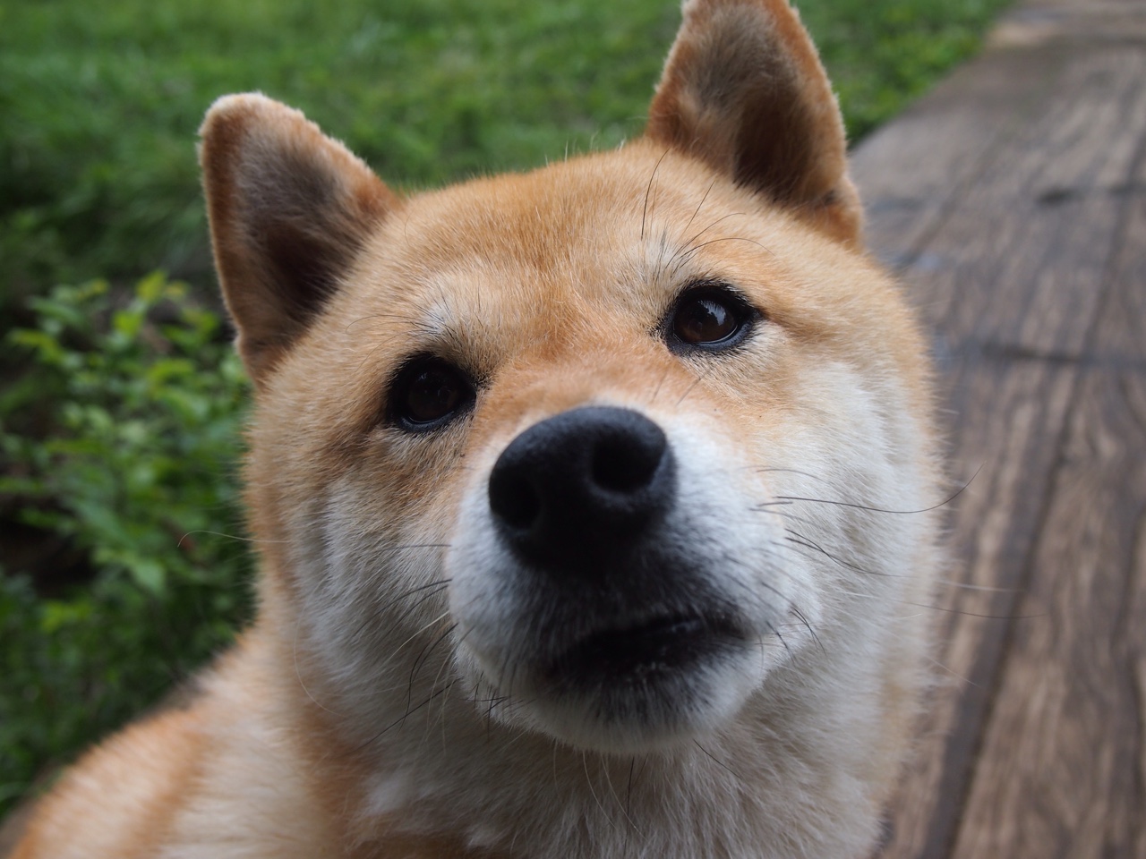 世界杯预选赛中国队战胜 球迷热情高涨,世界杯预选赛中国队怎么样了