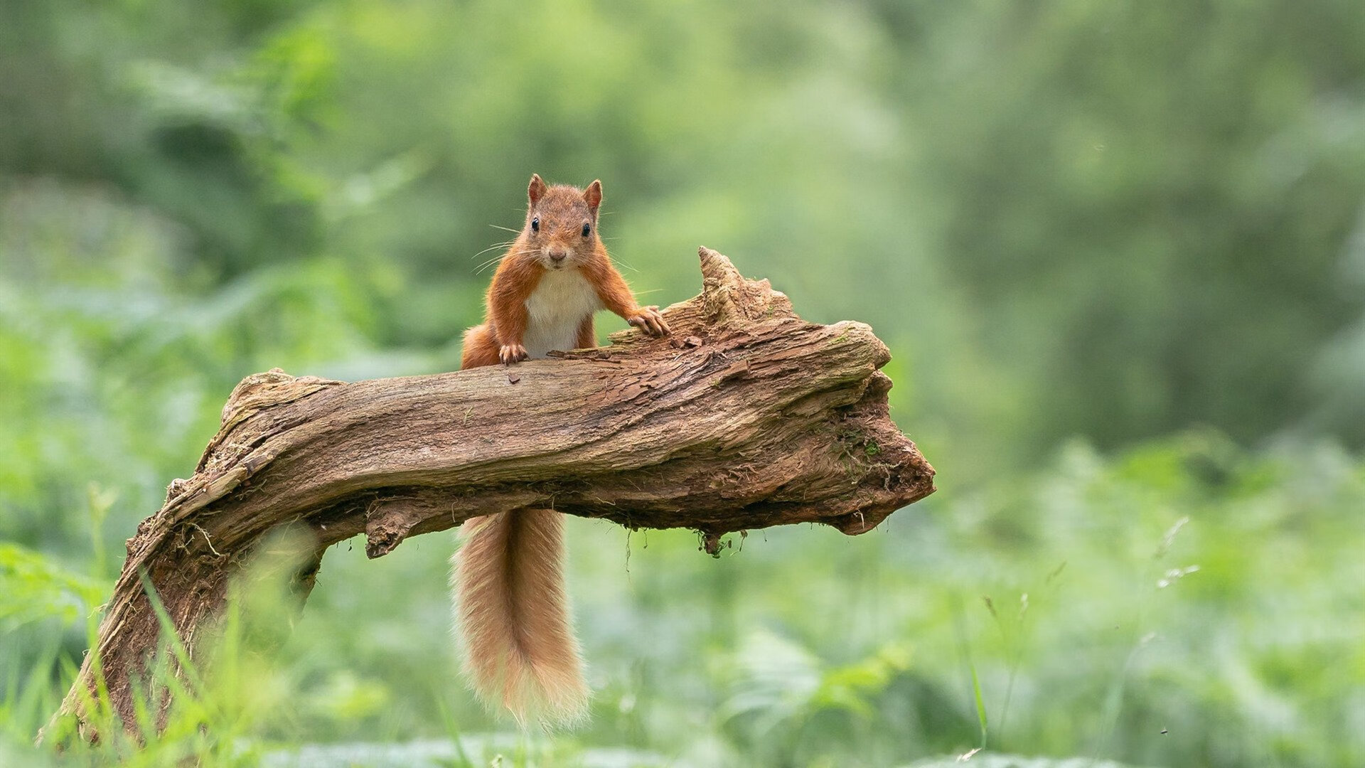 Leyu Sport登录入口-中超球队培养年轻门将提升本土守门实力，中超守门员教练年薪