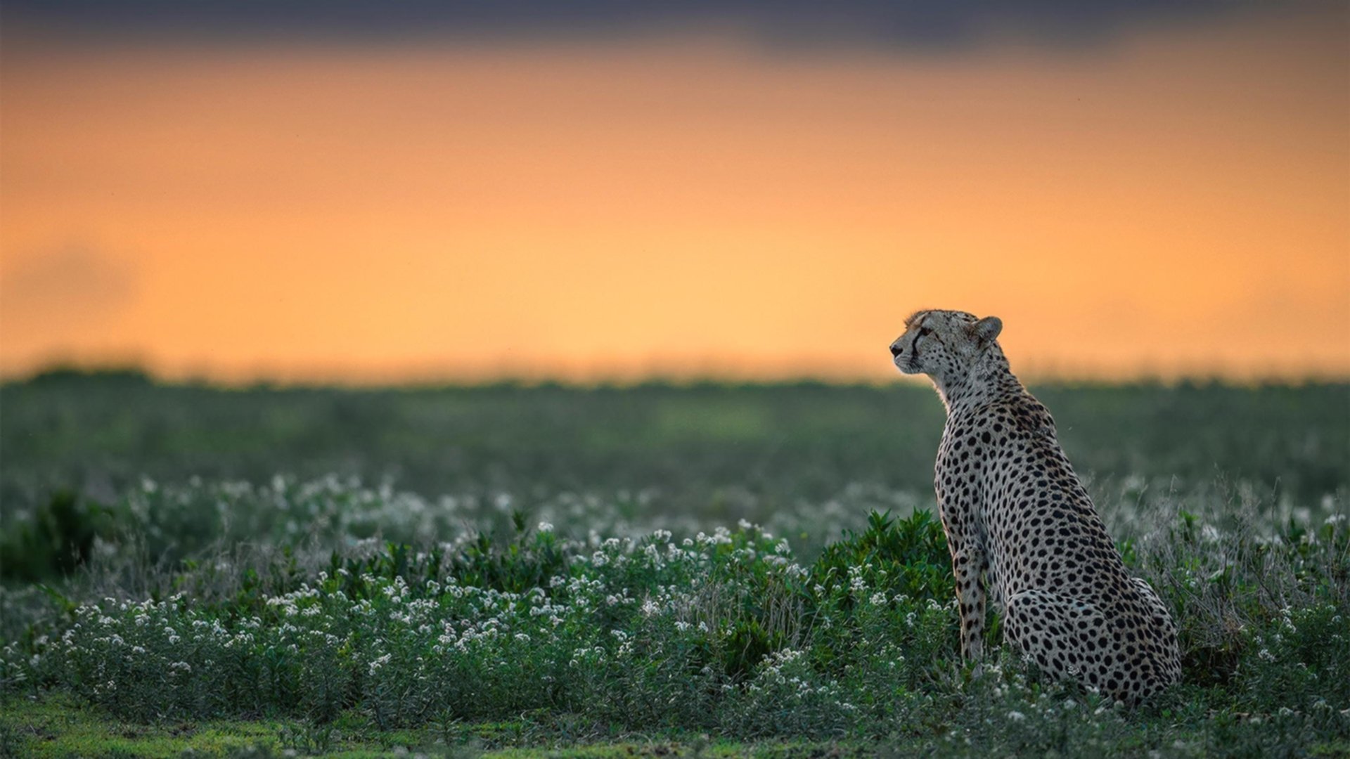 leyu乐鱼官网登录入口-国家体育总局确认第十五届全国冬运会举办城市名单，第十四届全国冬季运动会设置竞赛项目