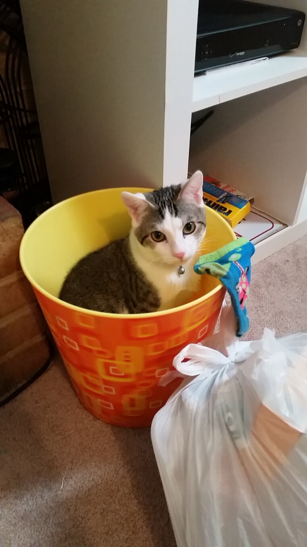 乐鱼体育登录-快船队长训练片段燃爆社交平台，快船队队长