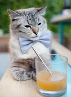 新兴足球国家连续创造佳绩,区域足球格局正在重塑,新兴足球俱乐部