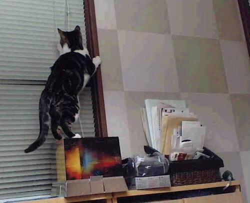 Leyu Sport登录入口-校园足球建立竞赛分级制度促进水平梯度发展，校园足球比赛竞赛规程