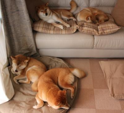 球员合同纠纷案庭外和解,避免官司拖慢备战,球员合同书怎么合成