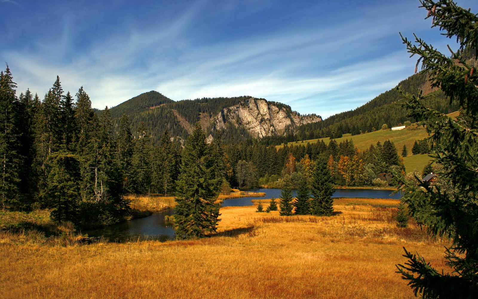 乐鱼官网-著名球员开设足球训练营，传授技巧经验，足球职业球员训练