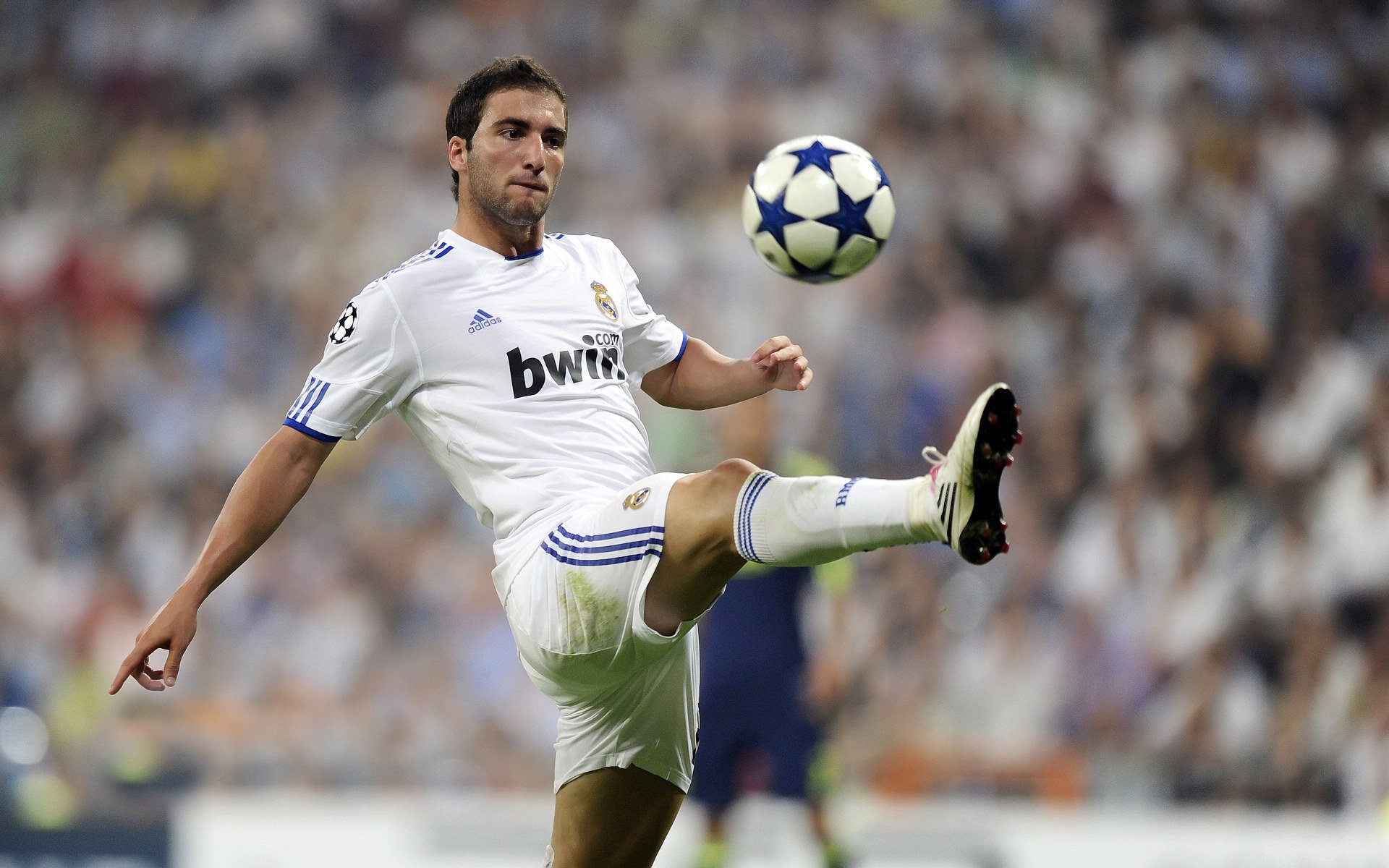 世界杯总结：球迷线上互动远超线下 但现场氛围依旧不可替代